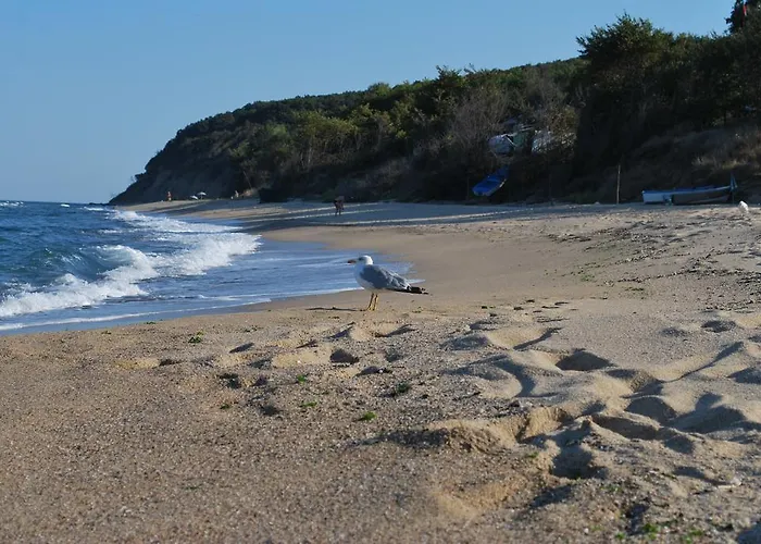 St George Apartcomplex Апарт-отель Шкорпиловци