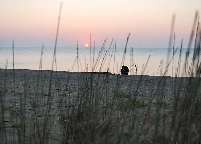 St George Apartcomplex Апарт-отель Шкорпиловци